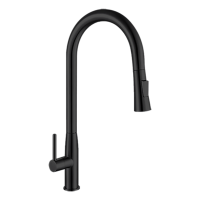 SUS304 ELTP Matt Black Pull Out Pillar Sink Tap (Dual Function)