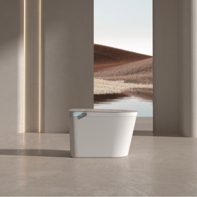 SMART TOILET