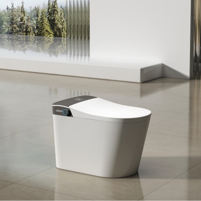 SMART TOILET